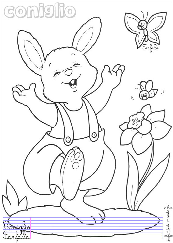 coloriage lapin 3